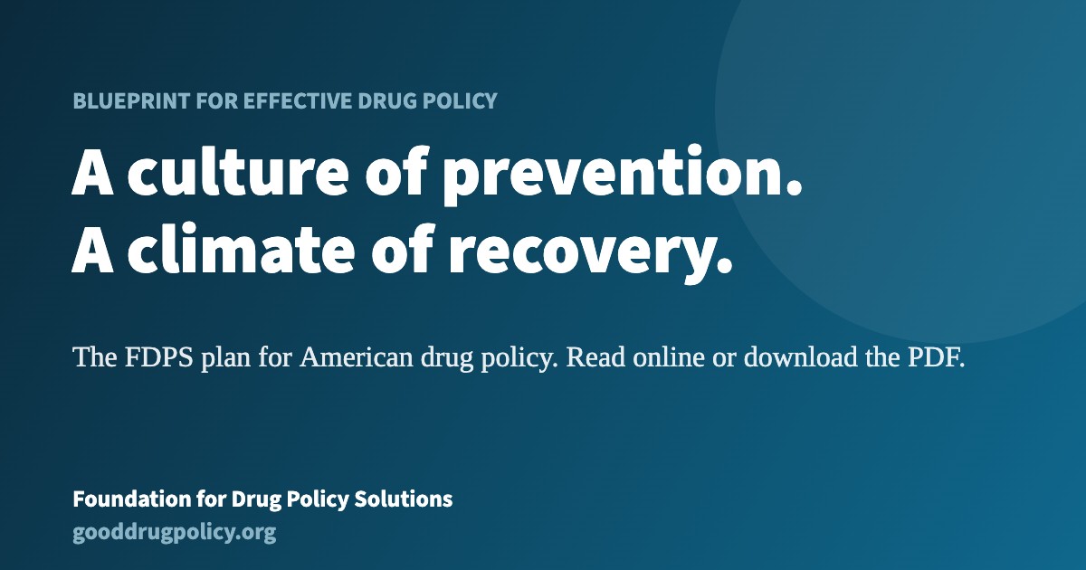 Blueprint for Effective Drug Policy