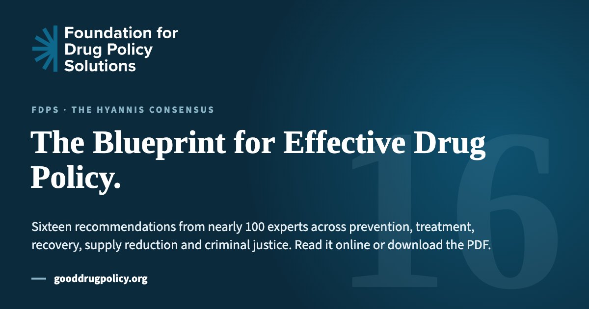 The Blueprint for Effective Drug Policy